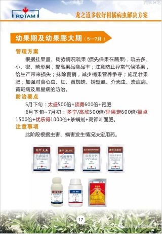 龍燈化學 深耕農業，以技術推廣服務為農賦能